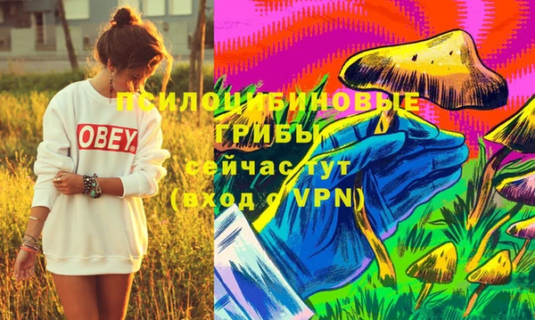 прущая мука Остров