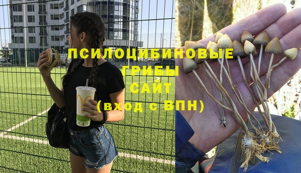 спиды Нефтекумск