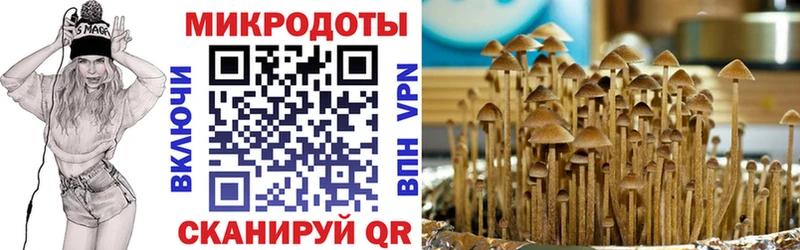 это телеграм  Чайковский  Галлюциногенные грибы Cubensis 
